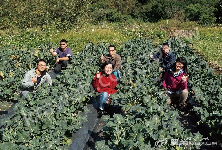 林口地區的有機青農們，時常討論在田間遇見的問題以及解決方式。