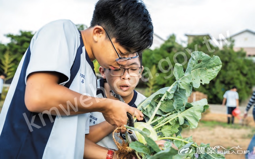 新社高級中學設置農場經營科與園藝科，除了校內農場外，學校也會與校外農場主合作，多元拓展學生實習經驗。（攝影／許?倩）