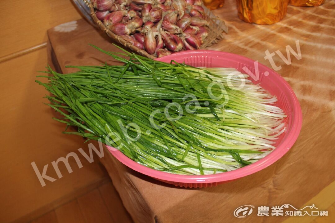 好吃珠蔥