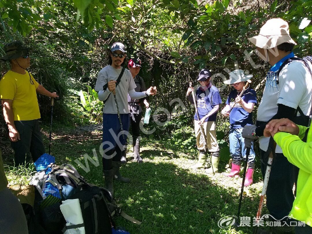 花蓮處於月眉山步道進行無痕山林戶外課程訓練