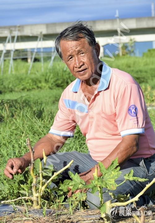 奮戰有機10_多年，鄭鴻權主席熱情不減。