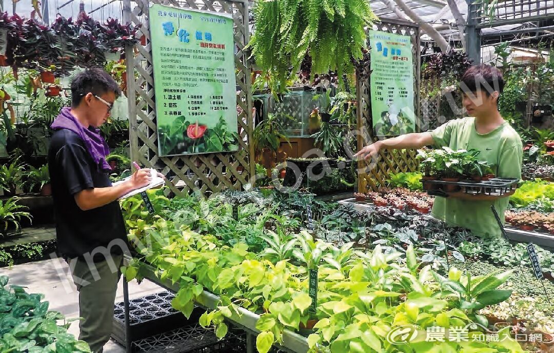 羅文曜（左）與何智文（右）兩人各有園藝專長，彼此又能合作無間。（圖片提供／林志鴻）