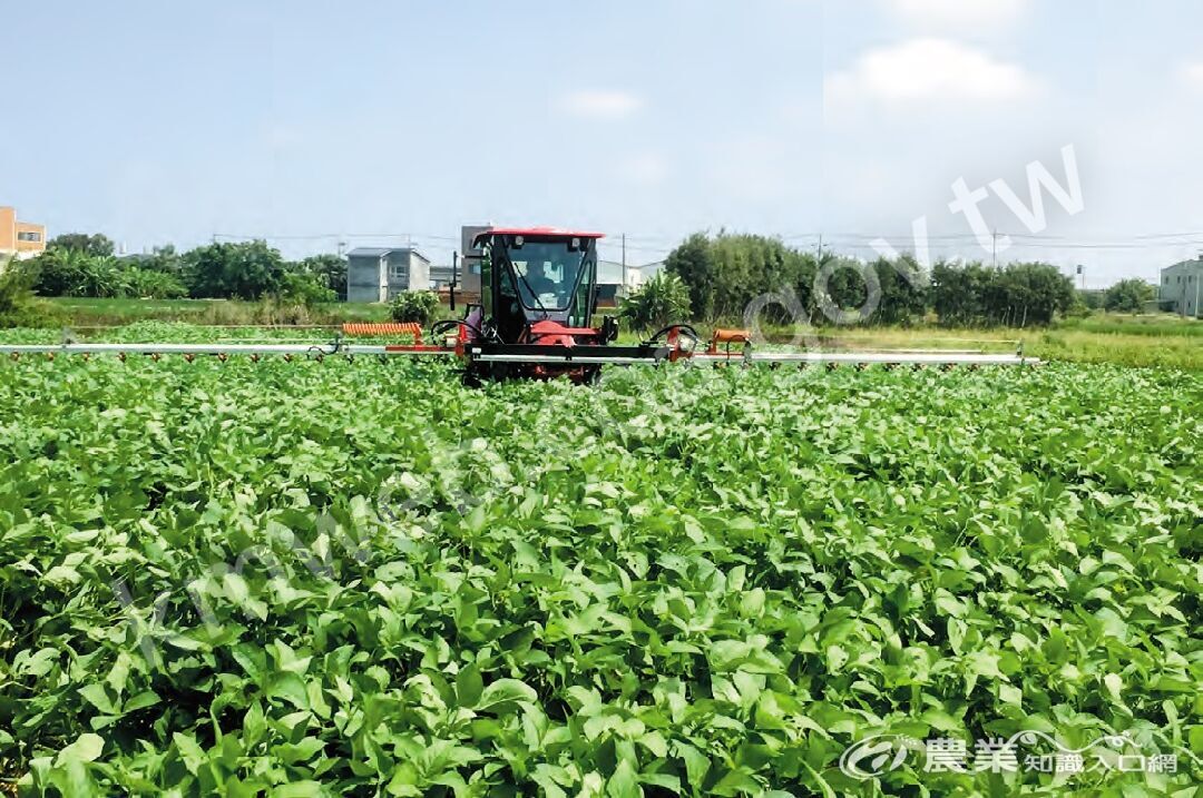 大豆機械化生產程度高，適合專業農民投入。以大豆田進行病蟲害防治機械化為例，提高農藥施用效率。（圖片提供／桃園市新屋區稻米產銷班第8班）