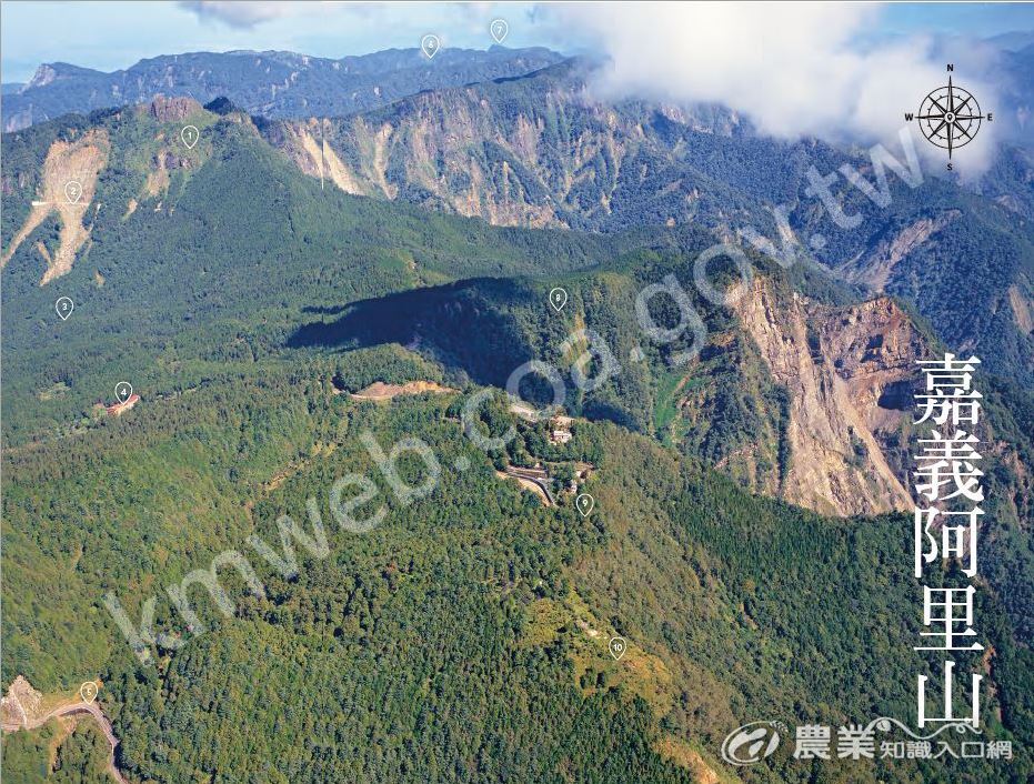 嘉義阿里山