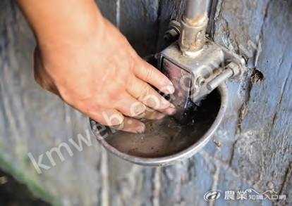 參考紐西蘭動物福利措施，台灣鹿種鹿場鹿隻用鼻頭頂壓給水器，就能流出乾淨水以供隨時飲用。