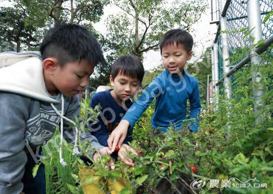 果實不可以隨便摘唷！