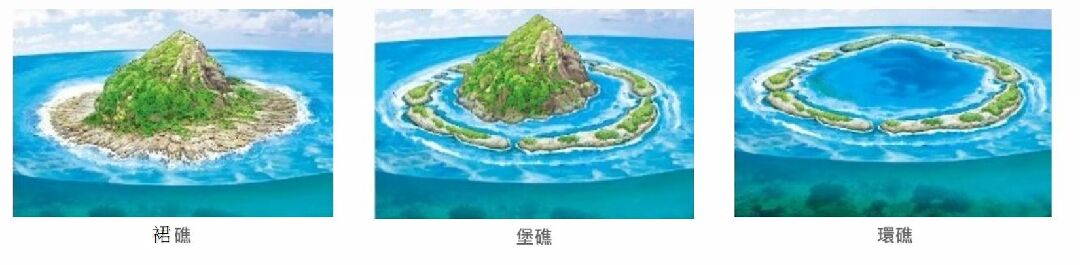珊瑚礁的型態-珊瑚礁主題館-農業知識入口網