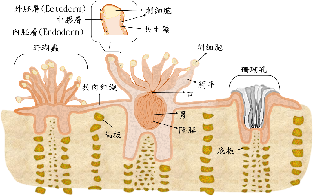 1f85696872 1f85696872