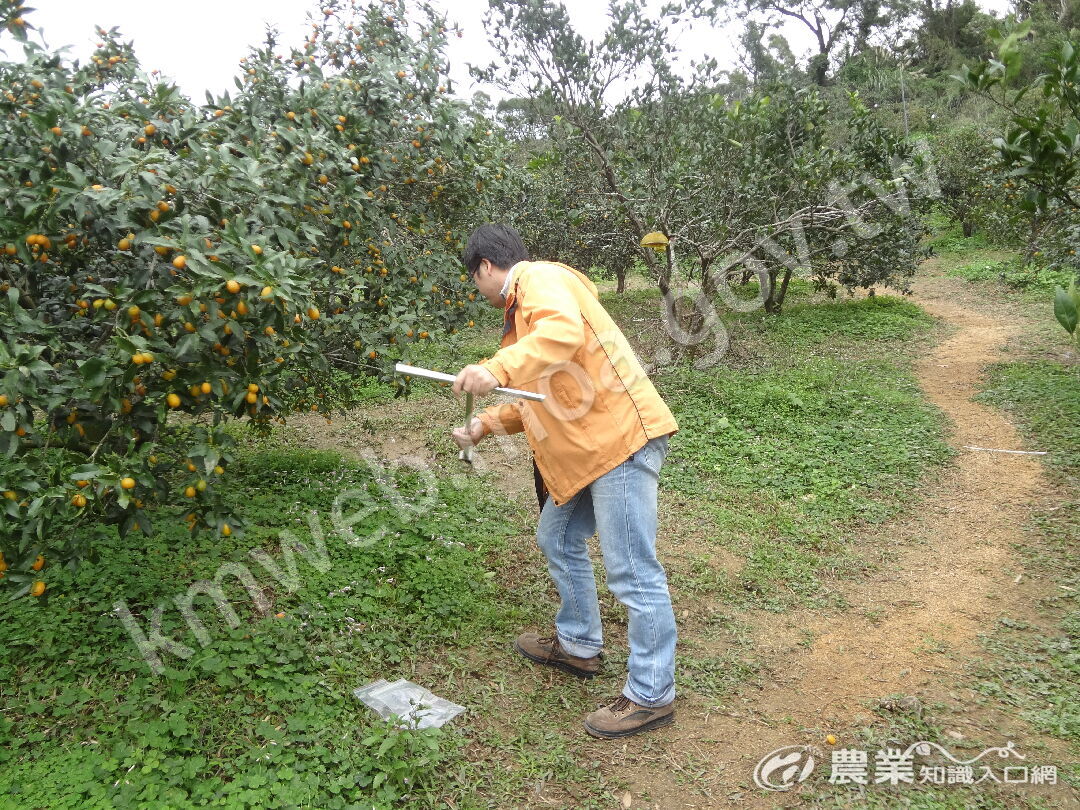 01-定期採取土壤樣品，瞭解果園土壤性質new