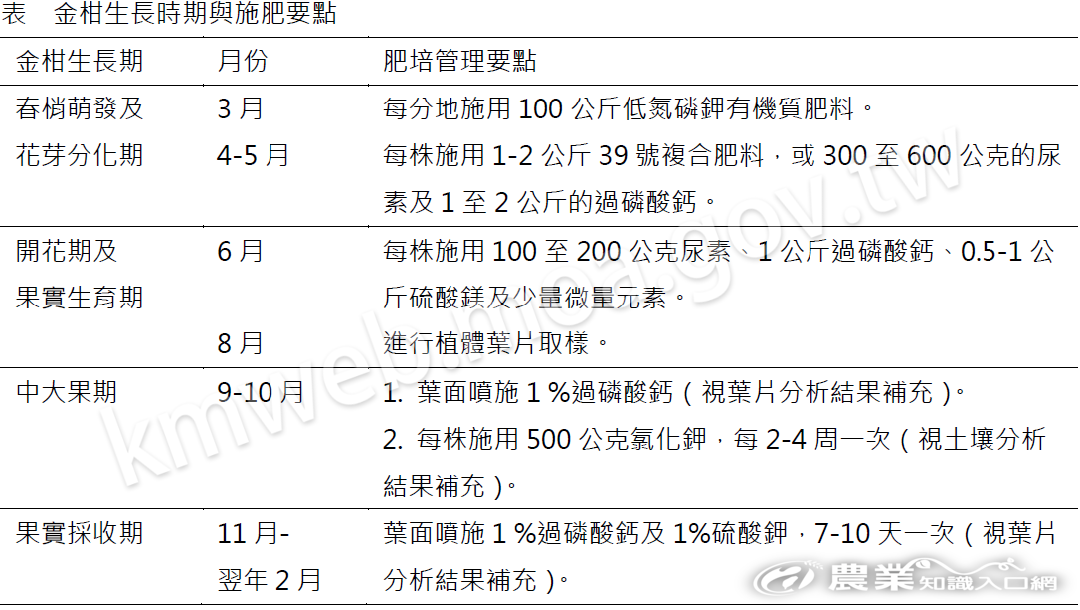 金柑生長時期與施肥要點