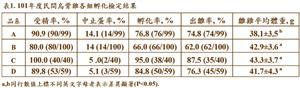 烏骨雞孵化