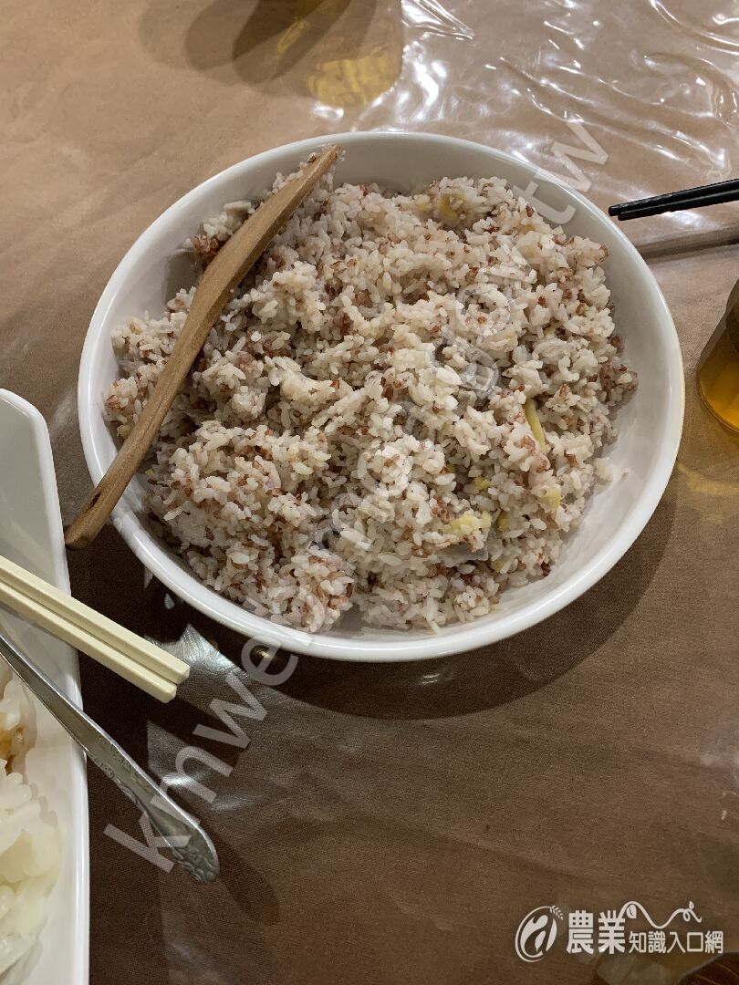 台灣藜飯