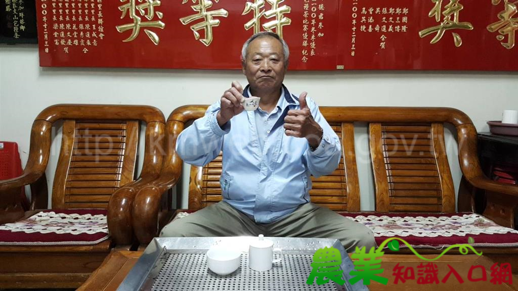 七代做好茶 百萬冠軍茶王在坪林