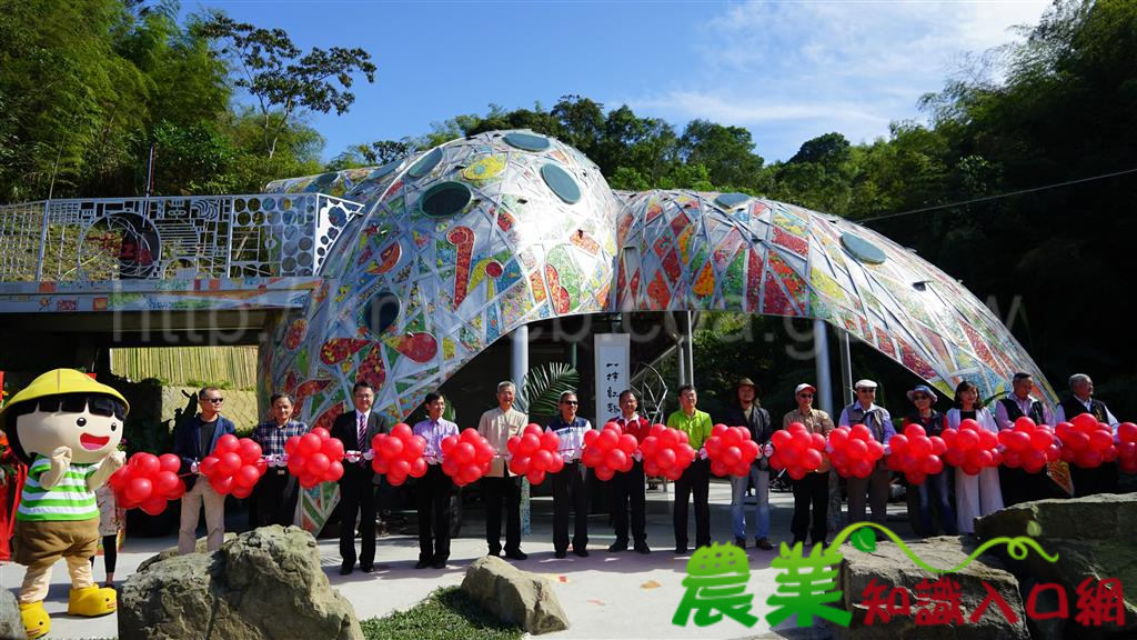 想看國際級的地景藝術何必捨近求遠 邀您體驗梅山太平雲霧間的一抹紅趣