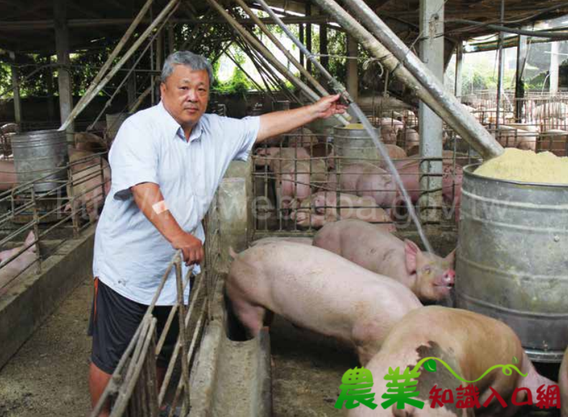 顧環境拚產銷 養豬產業找回尊嚴