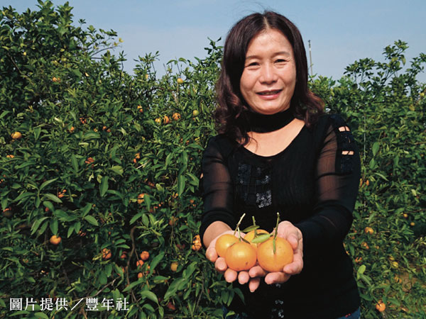 365天 結結實實的橙意