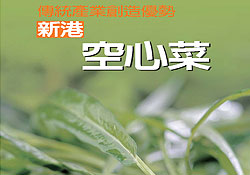 鄉間小路--新港空心菜