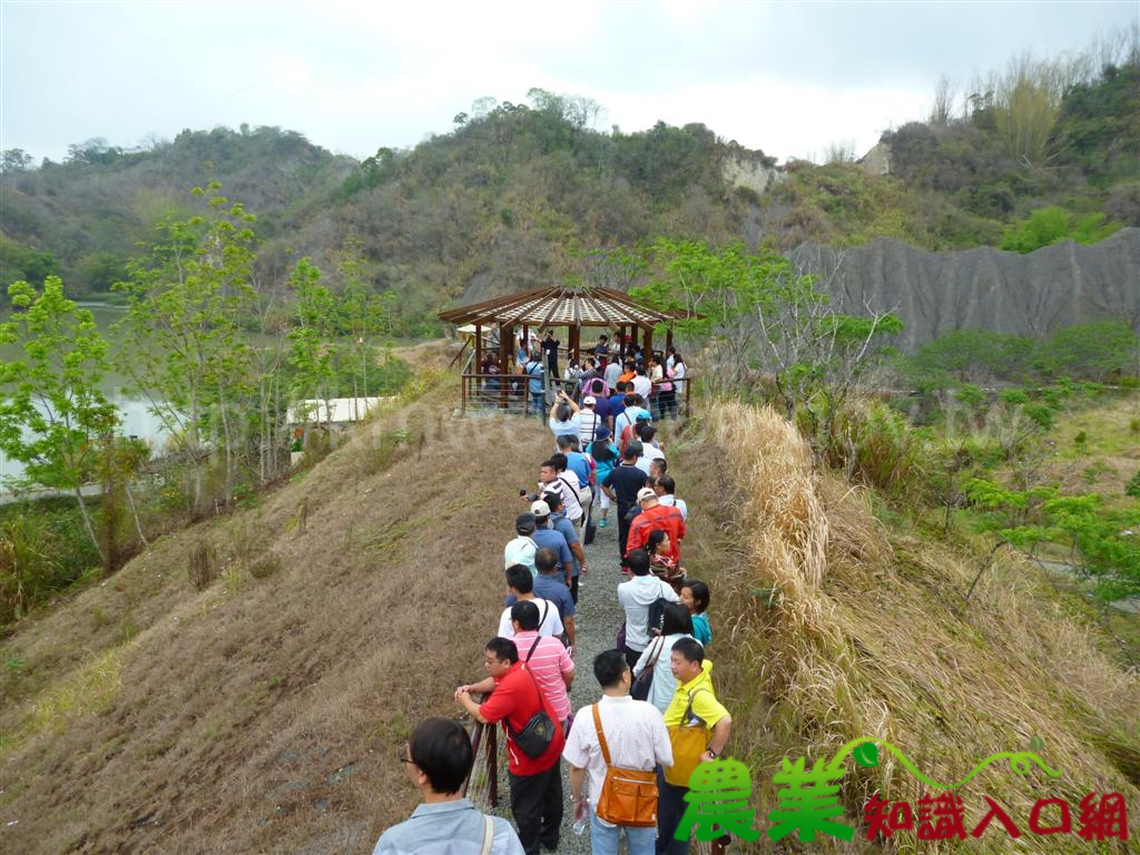 牛埔夢幻湖 瞭解水土保持工法的好所在