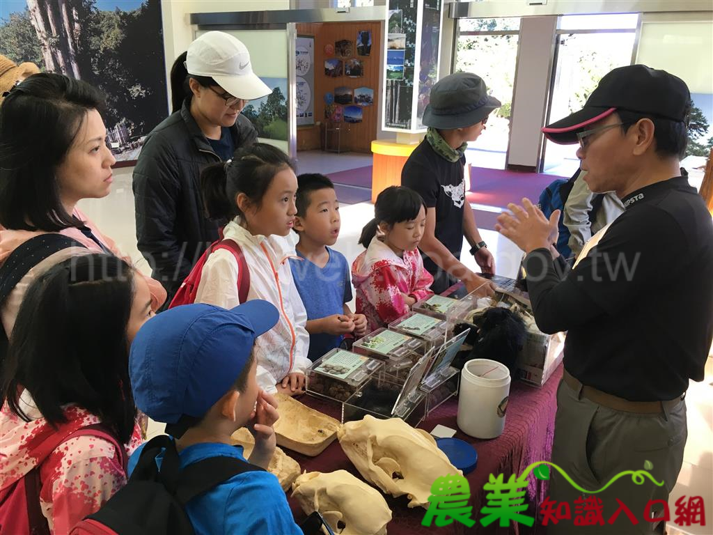 「台灣黑熊保育環境教育聯盟」舉辦首場「大雪山尋熊趣」棲地體驗活動 活動圓滿成功
