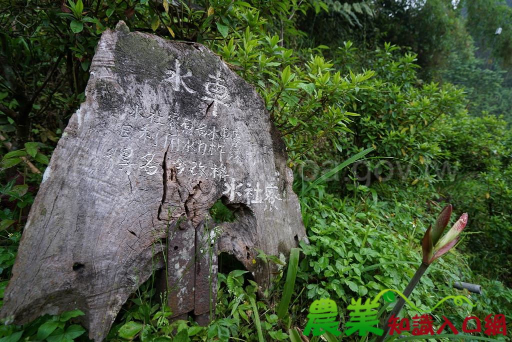 林鐵再推主題遊程 漫遊小站 「停‧看‧聽」