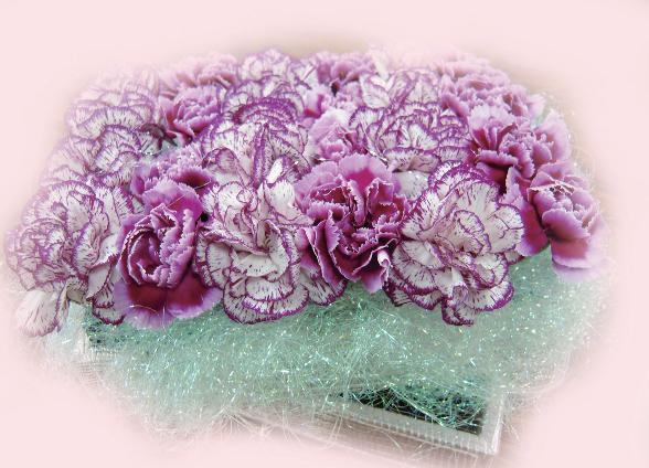 謝謝您的愛－走訪母親的花