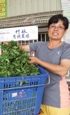 竹林農場負責人黃淑女