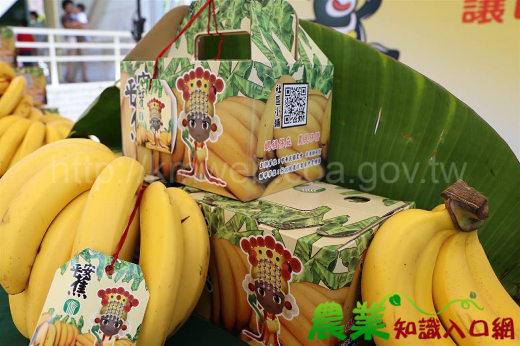 平安蕉!媽祖加持保庇一夏