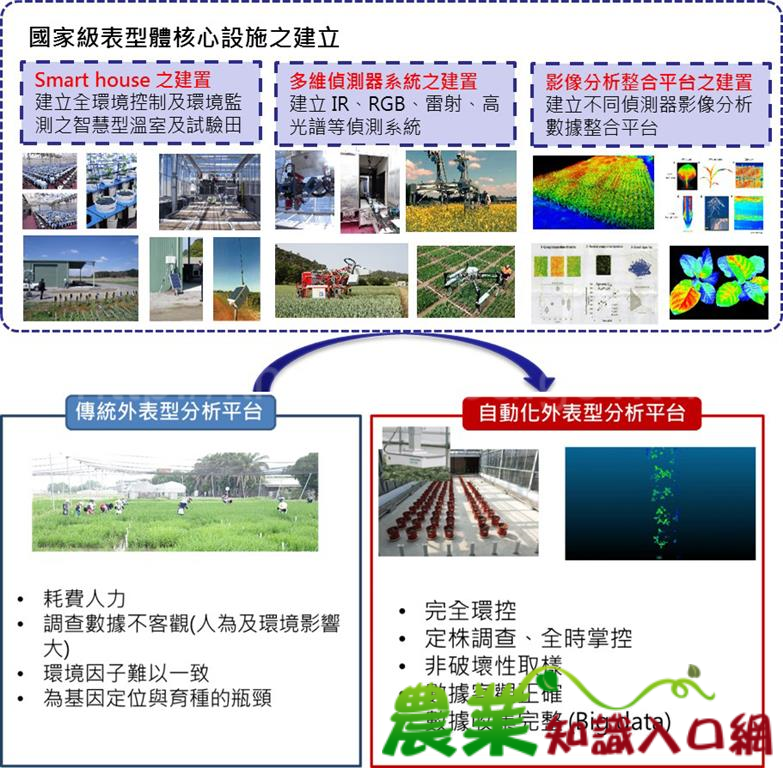 農業試驗所研發自動化表型體分析系統，由傳統育種走向精準育種