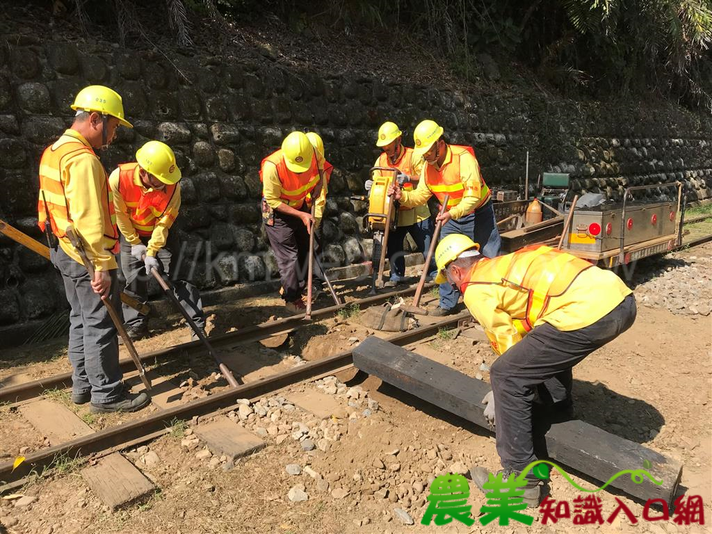 阿里山林鐵事故演練 強化緊急應變能力