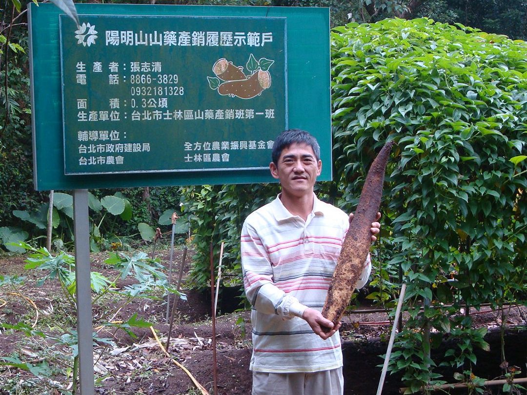 張志清　陽明山山藥品牌保證