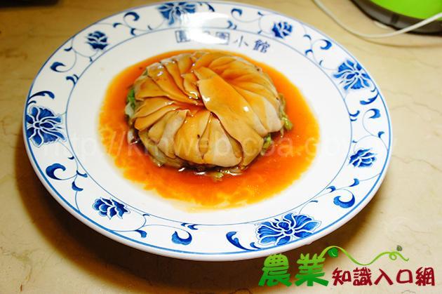 杏鮑菇扒西生菜