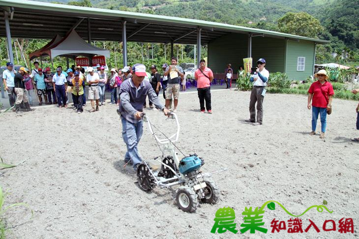 小米播種機械化-降低成本新選擇