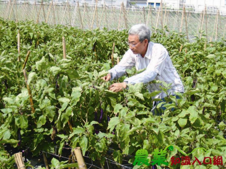 種有機˙繫台灣-太康有機農業專區