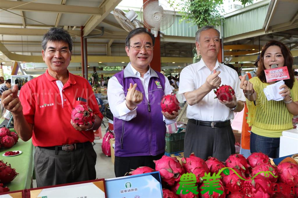 臺日友好！ 宜蘭優質紅龍果義賣賑助日本豪雨災害