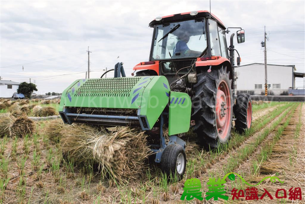 成為快樂農夫，擺脫「菜金菜土」宿命