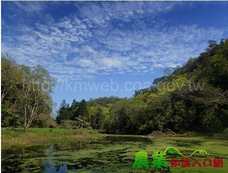 魚草共生－福山植物園保育生態有撇步