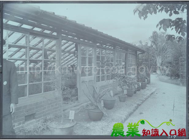 臺北植物園120周年系列活動—老照片展帶您穿梭時空