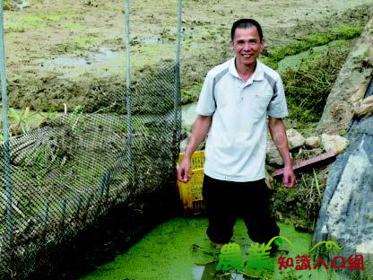 有機耕作－茭白筍身價更上層樓．珠子山有機農場