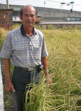 純樸，創新—林大根