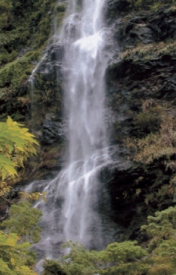 知本泓泉溫泉渡假村特輯