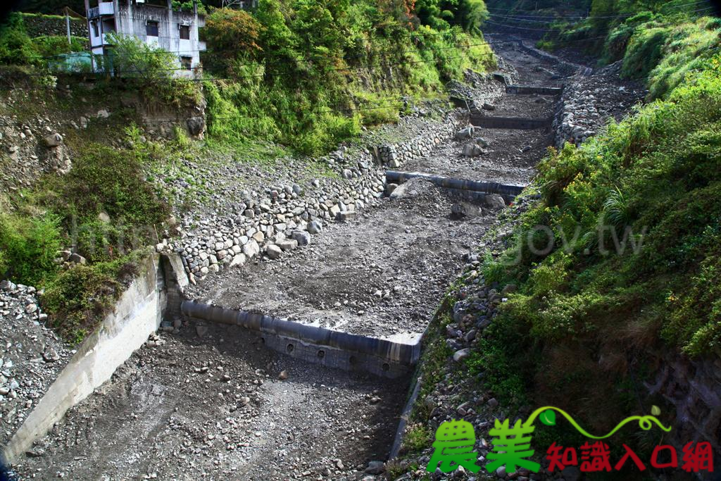治水不僵化 南投林管處滾動式整治頭坑野溪