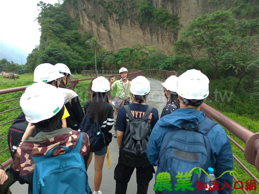 山林講堂第三彈 來寶來尋寶樂--大地溫情樂山林