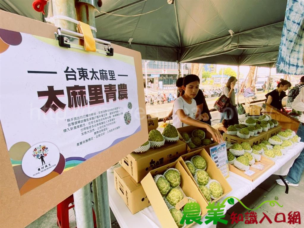 台東青農前進高雄，品嚐台東在台鋁市集