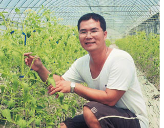 回歸田園．科技新貴轉行  築夢踏實．串收番茄開路－台南縣鹽水鎮蔬菜產銷班第 3 班與班長吳明芳