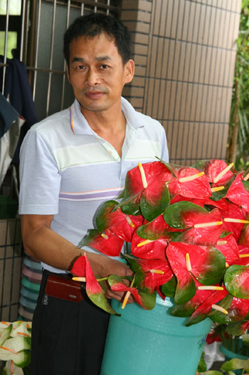 在火鶴花叢中拈花惹草－李其來