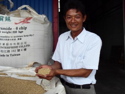 好米再創新　台東32號水稻