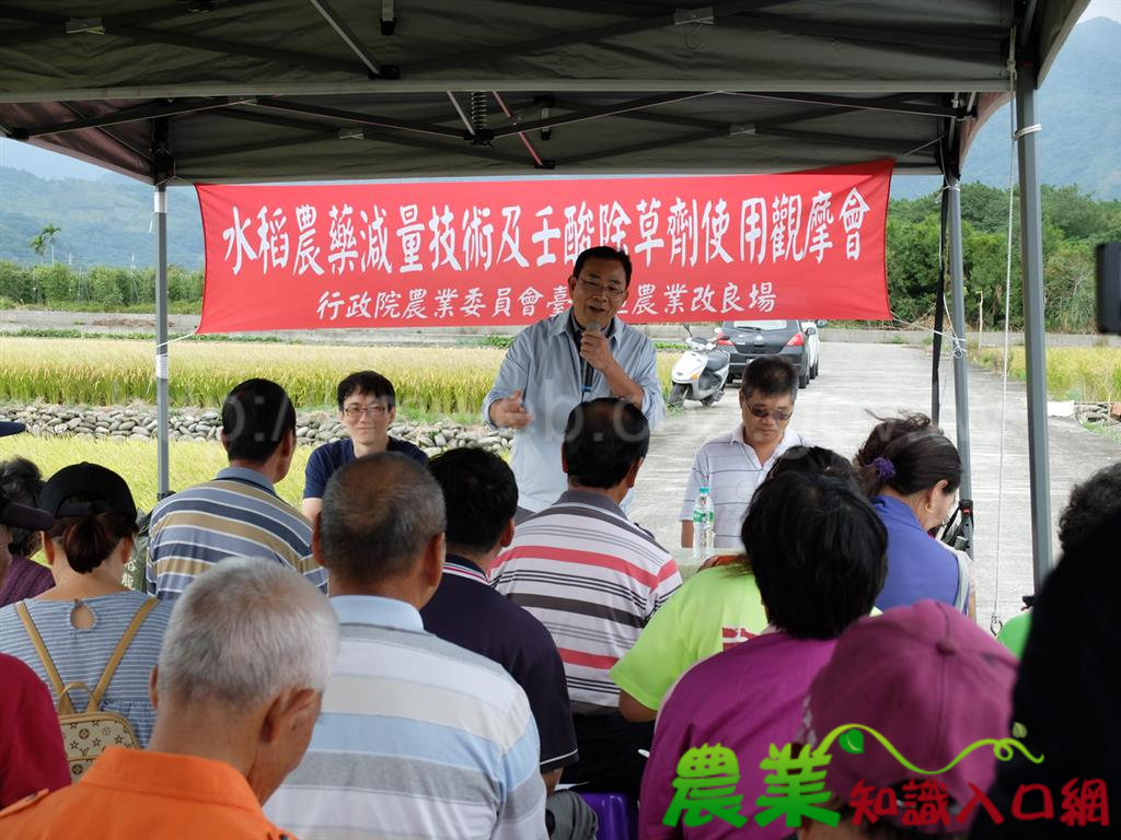 適時防治省農藥 確保產量收成好 臺東場辦理水稻農藥減量技術及壬酸除草劑使用觀摩會