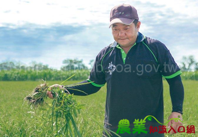 善用契作策略　保障農民專心生產／雲林縣斗南鎮農會