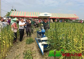 活化休耕農地機械之開發～胡麻割捆機