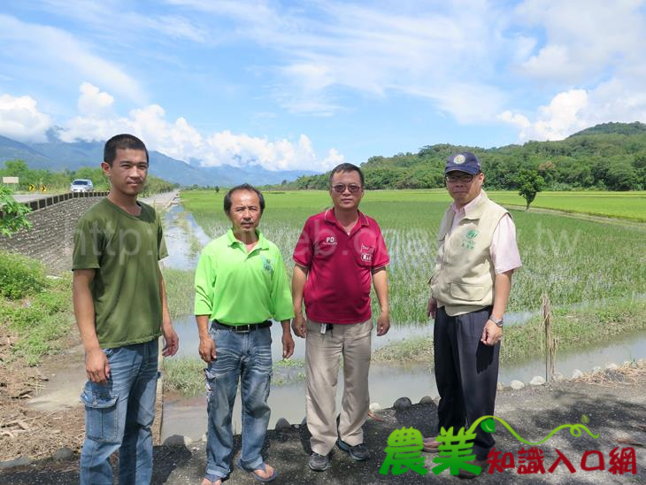 豪大雨過後，臺東區農業改良場技術服務團協助農友復耕復育